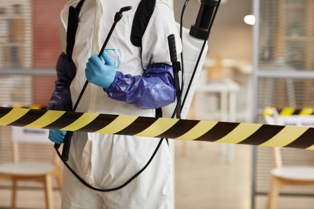 Professional Hoarding Cleanup technician working in Ivanhoe, CA